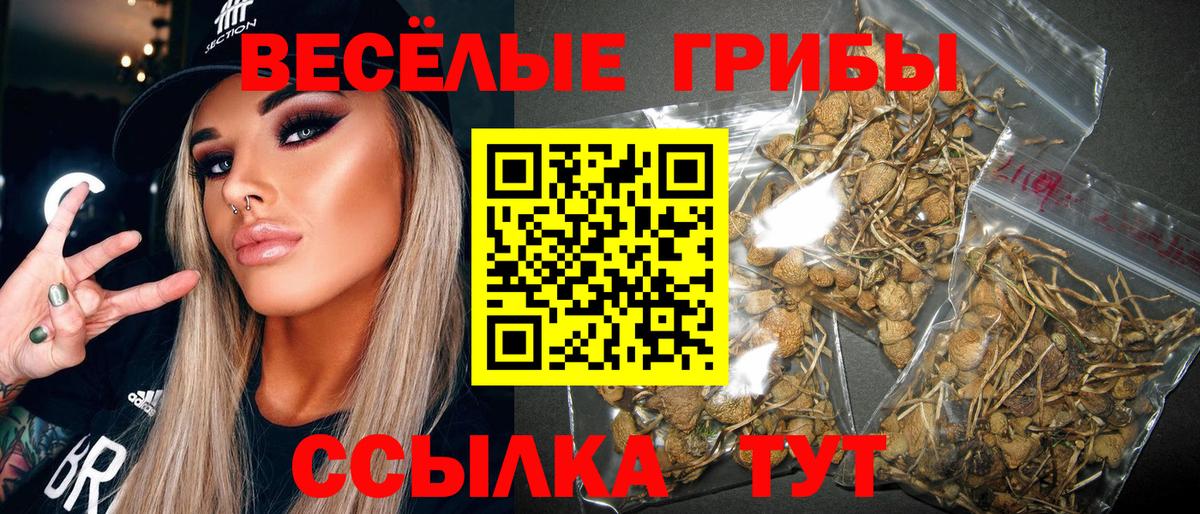 Псилоцибиновые грибы прущие грибы  Вход с VPN  Армавир 